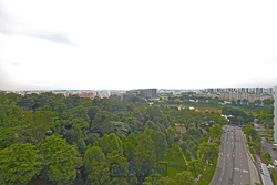 Blk 348C Adora Green (Yishun), HDB 5 Rooms #189923902